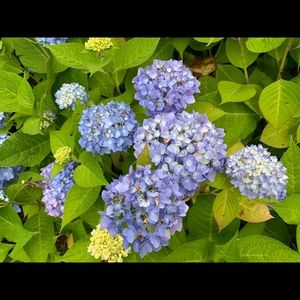 Meet your Posher, Vita